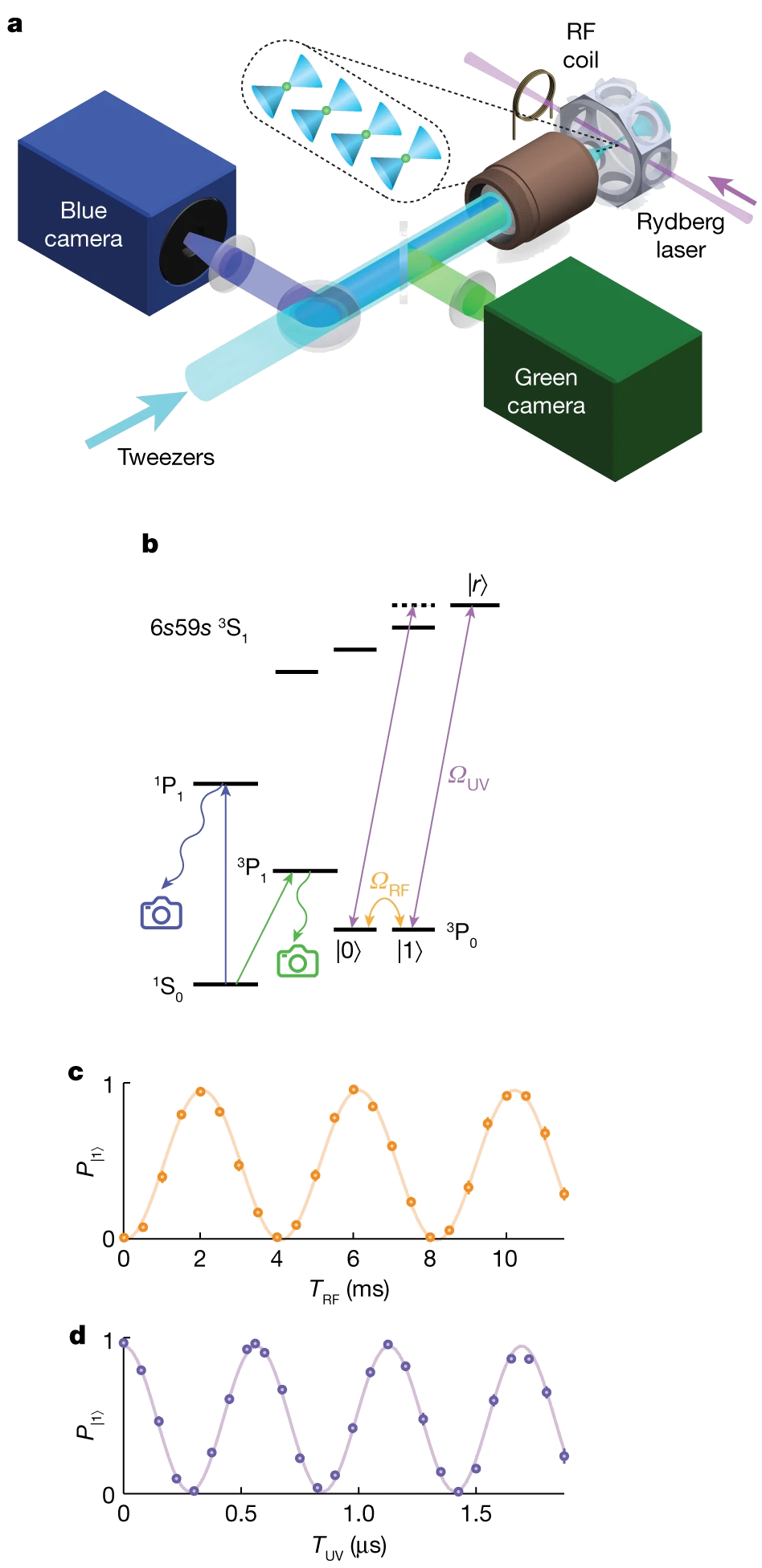 High-fidelity gates towards error correction with neutral atoms