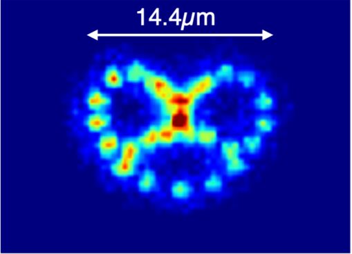 CESQ Colloquium by Stephan Welte on 17/03